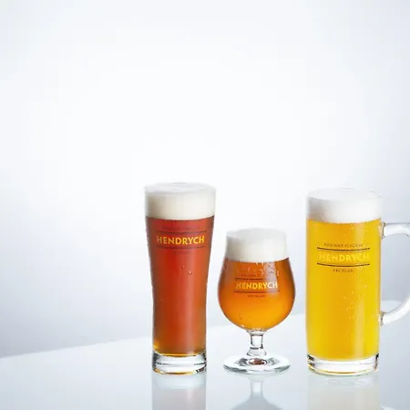 Hendrych Pensionat *